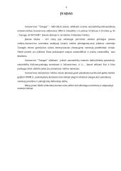 Verslo aprašymas: autoservisas "Tanagra" 4 puslapis