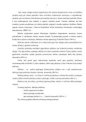 Verslo aprašymas: autoservisas "Tanagra" 7 puslapis