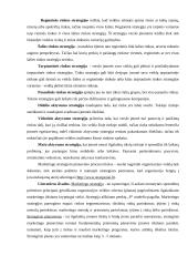 Marketingo strateginis planavimas įmonių veikloje 11 puslapis