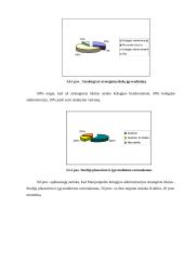Marketingo strateginis planavimas įmonių veikloje 14 puslapis
