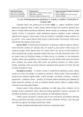 Marketingo strateginis planavimas įmonių veikloje 8 puslapis
