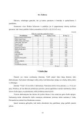 Verslo planas: gėlių salonas IĮ "Vesta" 13 puslapis