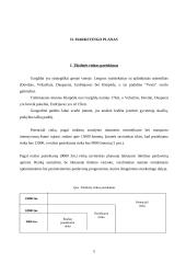 Verslo planas: gėlių salonas IĮ "Vesta" 4 puslapis