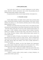 Verslo planas: gėlių salonas IĮ "Vesta" 5 puslapis