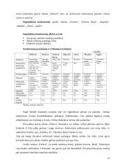 Marketingo tyrimas: grožio paslaugos UAB "Stileiva" 13 puslapis