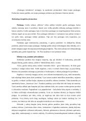 Marketingo tyrimas: grožio paslaugos UAB "Stileiva" 18 puslapis