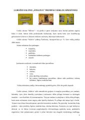 Marketingo tyrimas: grožio paslaugos UAB "Stileiva" 5 puslapis