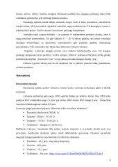 Marketingo tyrimas: grožio paslaugos UAB "Stileiva" 7 puslapis