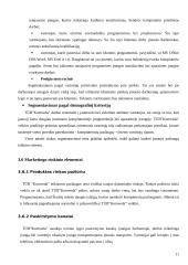Verslo planas: kompiuterinės paslaugos TŪB "Komveda" 11 puslapis
