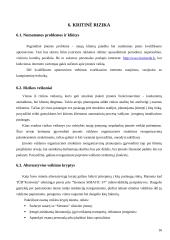 Verslo planas: kompiuterinės paslaugos TŪB "Komveda" 16 puslapis