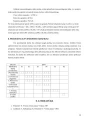 Verslo planas: kompiuterinės paslaugos TŪB "Komveda" 20 puslapis
