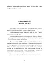 Verslo planas: prekyba grindų danga UAB "Danga" 12 puslapis