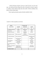 Verslo planas: prekyba grindų danga UAB "Danga" 13 puslapis