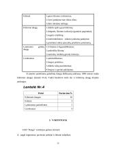 Verslo planas: prekyba grindų danga UAB "Danga" 17 puslapis