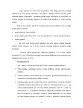 Verslo planas: prekyba grindų danga UAB "Danga" 19 puslapis