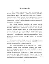 Verslo planas: prekyba grindų danga UAB "Danga" 3 puslapis