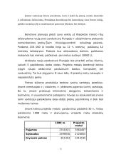 Verslo planas: prekyba grindų danga UAB "Danga" 4 puslapis