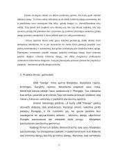 Verslo planas: prekyba grindų danga UAB "Danga" 6 puslapis