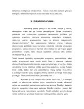 Verslo planas: prekyba grindų danga UAB "Danga" 10 puslapis