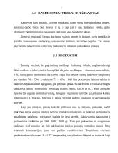 Verslo planas: prekyba šviežiais vaisiais ir daržovėmis UAB "Artišokas" 6 puslapis