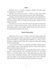 Marketingo tyrimas: prekyba baldais UAB "Norta" 2 puslapis