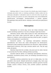 Marketingo tyrimas: prekyba baldais UAB "Norta" 3 puslapis