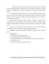 Marketingo veiksmų ir priemonių planas: kelionių agentūra "Vianobile" 2 puslapis