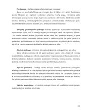Marketingo veiksmų ir priemonių planas: kelionių agentūra "Vianobile" 12 puslapis