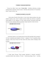 Verslo planas: sergančių vaikų priežiūra namuose VĮ "Sveikata į namus" 19 puslapis