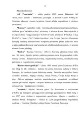 Verslo planas: tarptautinių krovinių pervežimas IĮ "Tomas" 12 puslapis