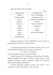 Verslo planas: tarptautinių krovinių pervežimas IĮ "Tomas" 14 puslapis