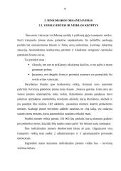 Verslo planas: tarptautinių krovinių pervežimas IĮ "Tomas" 9 puslapis