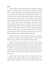 Vertybinių popierių emisijos Lietuvoje 2 puslapis