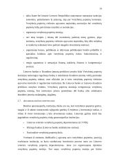 Vertybinių popierių emisijos Lietuvoje 13 puslapis