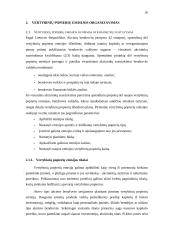 Vertybinių popierių emisijos Lietuvoje 15 puslapis