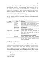 Vertybinių popierių emisijos Lietuvoje 19 puslapis