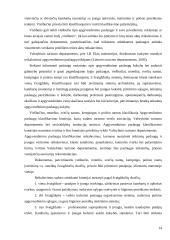 Viešbučio paslaugų verslo plėtra: IĮ "Beržas" 13 puslapis
