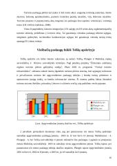 Viešbučio paslaugų verslo plėtra: IĮ "Beržas" 15 puslapis