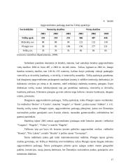 Viešbučio paslaugų verslo plėtra: IĮ "Beržas" 16 puslapis