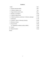 Viešbučio steigimas: "Adorus" 1 puslapis
