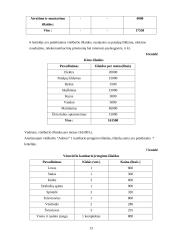 Viešbučio steigimas: "Adorus" 12 puslapis