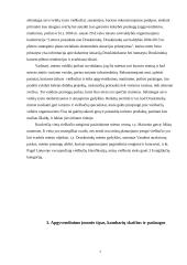 Viešbučio steigimas: "Adorus" 6 puslapis