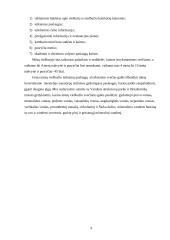 Viešbučio steigimas: "Adorus" 8 puslapis