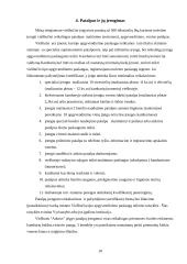 Viešbučio steigimas: "Adorus" 9 puslapis