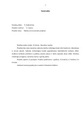 Mašinų serviso įmonės projektas 2 puslapis