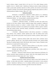 Žaidimų taikymas pedagogikoje 11 puslapis