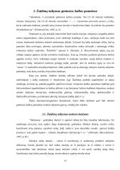 Žaidimų taikymas pedagogikoje 13 puslapis