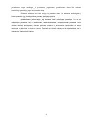 Žaidimų taikymas pedagogikoje 6 puslapis