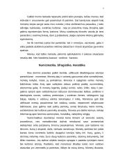 Ženklai senuosiuose Lietuvos piniguose 4 puslapis
