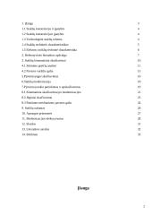Medienos apdirbimo staklių projektavimas 2 puslapis